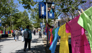 Local nonprofit amplifies survivors' voices through exhibit | News