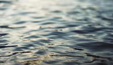 L.A. County Stormwater Capture Jumps to 120 Billion Gallons