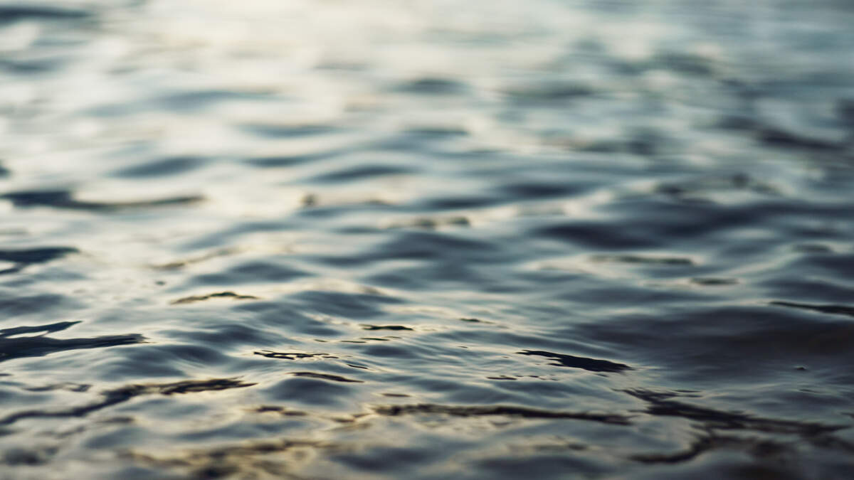 L.A. County Stormwater Capture Jumps to 120 Billion Gallons