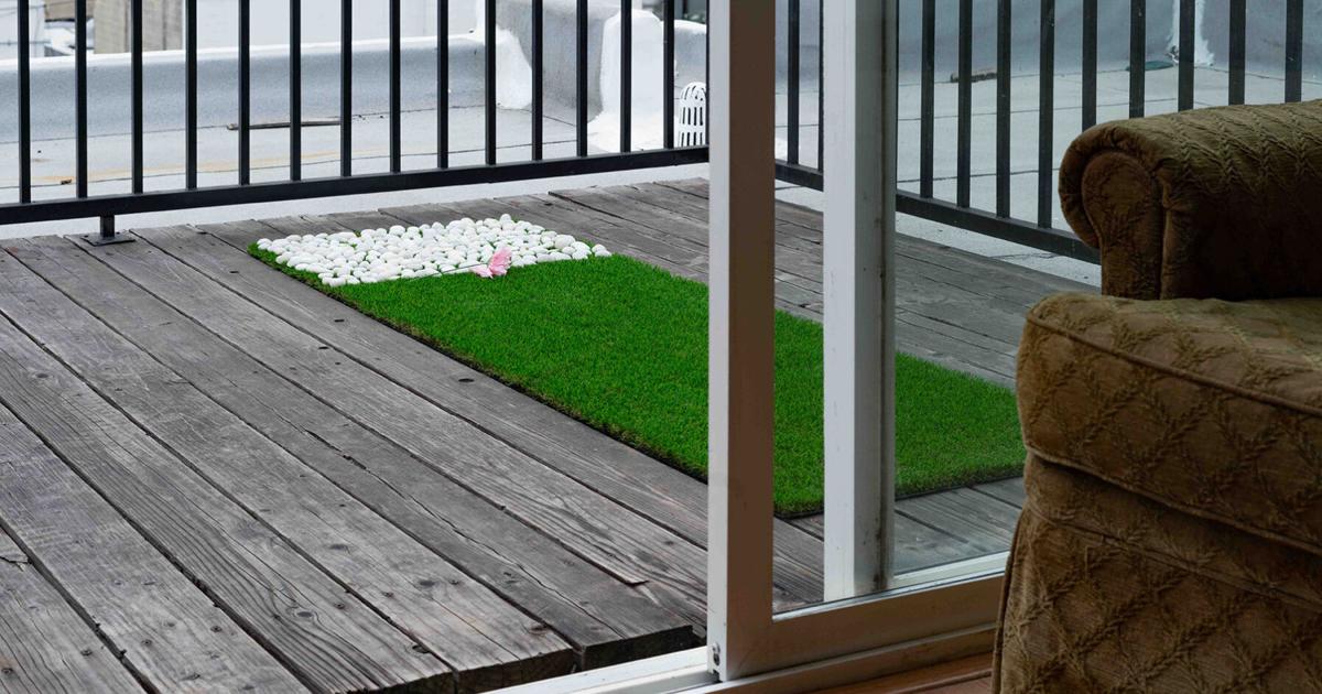 UC Berkeley student artist Eliot D’Silva crafts a new situation | Visual Art