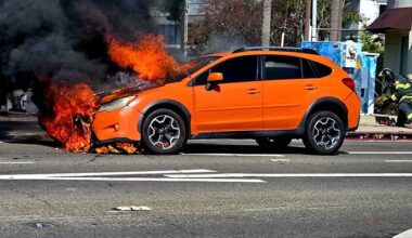 The Island Itinerary | Coronado Island News