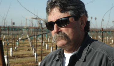 Prominent Lodi ag figure Ernie Dosio killed while on hunting expedition in Africa | News