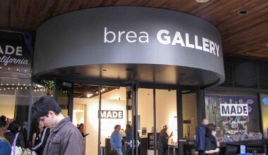 Californian artists paint state identity in color at annual Brea exhibit | Lifestyle