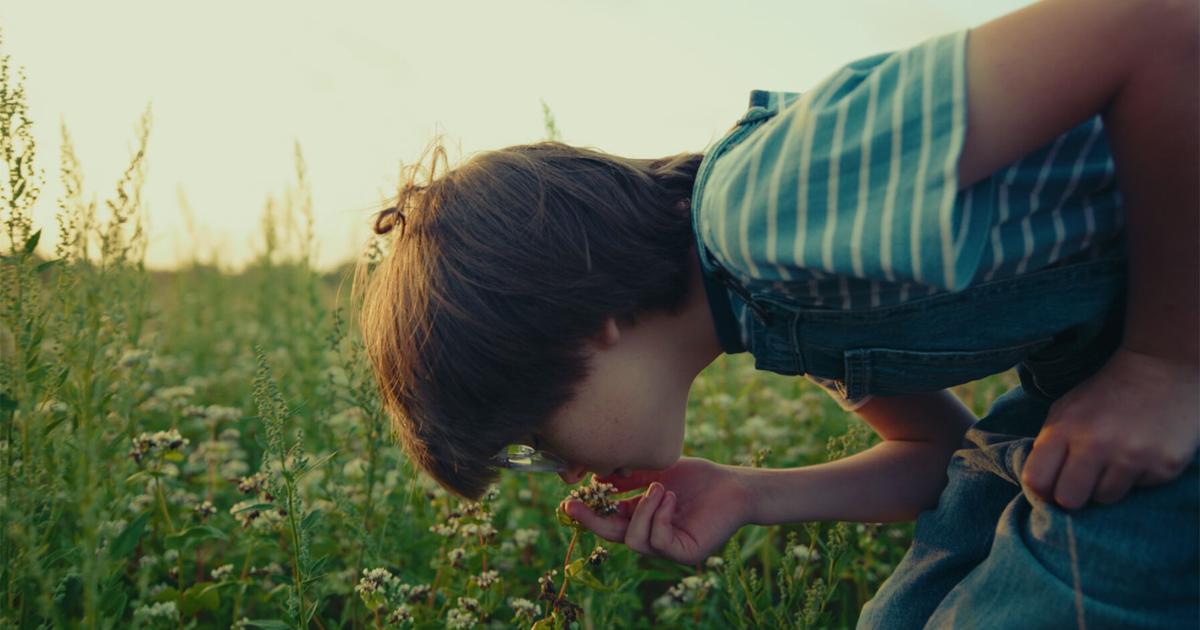 UC Berkeley freshman’s short film ‘Little Things’ has a big heart at SFFILM | Film & Television