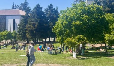 Project Reboot hosts tech-free Glade party, to shift relationships with technology | Student Life