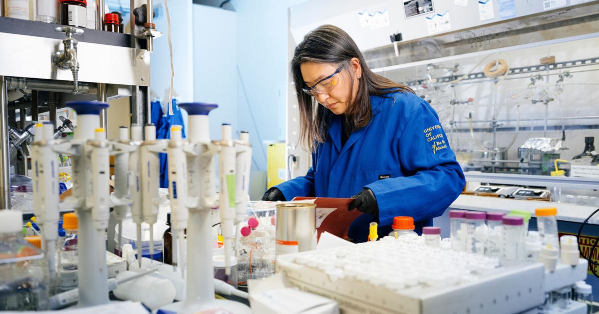 UC Berkeley professor awarded $10M by Bezos Earth Fund to create biodegradable fabric | Research And Ideas