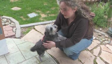 Yahoo lifestyle home