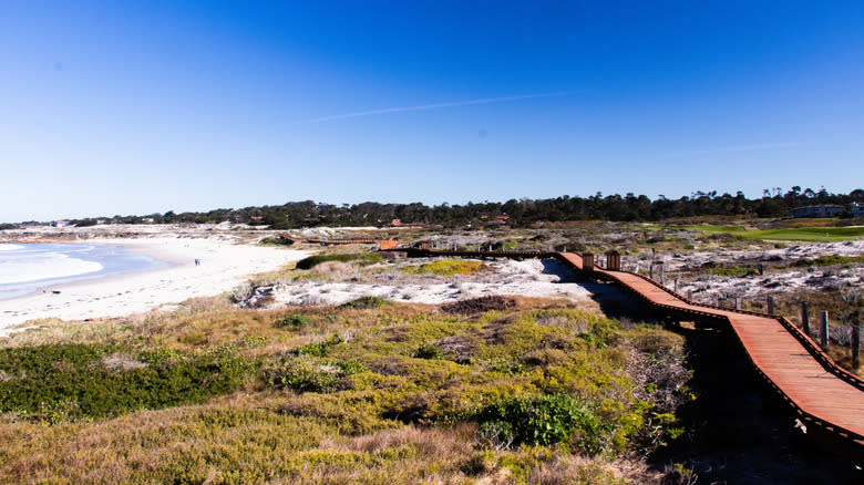 Boardwalk over the dunes at Asilomar State Beach in Pacific Grove, California