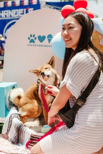 A dog eating an ice cream