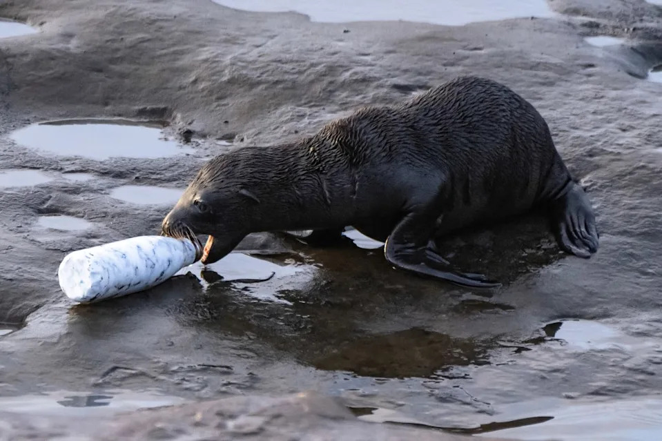 Four other California metro areas were found in the top 10 for year-round particle pollution – Fresno-Hanford-Corcoran (#4), San Diego-Chula Vista-Carlsbad (#5 – tie), Visalia (#5 – tie) and Los Angeles-Long Beach (#7). Shutterstock / Danita Delimont