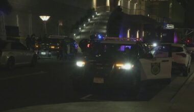 Sacramento police arrest 19-year-old in deadly Downtown Commons stabbing