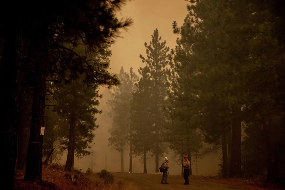 Two U.S. Forest Service firefighters confer on the Park Fire as smoke fills the air near Paynes Creek (Tehama County) on Saturday, July 27, 2024. The Trump administration is radically changing the U.S. Forest Service, including shutting down the majority of its California research facilities. (Stephen Lam/S.F. Chronicle)