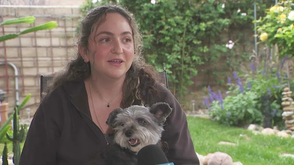 Michelle Bluestone was reunited with her dog, Lola, five years after the Schnauzer mix went missing in Reseda. (KTLA)