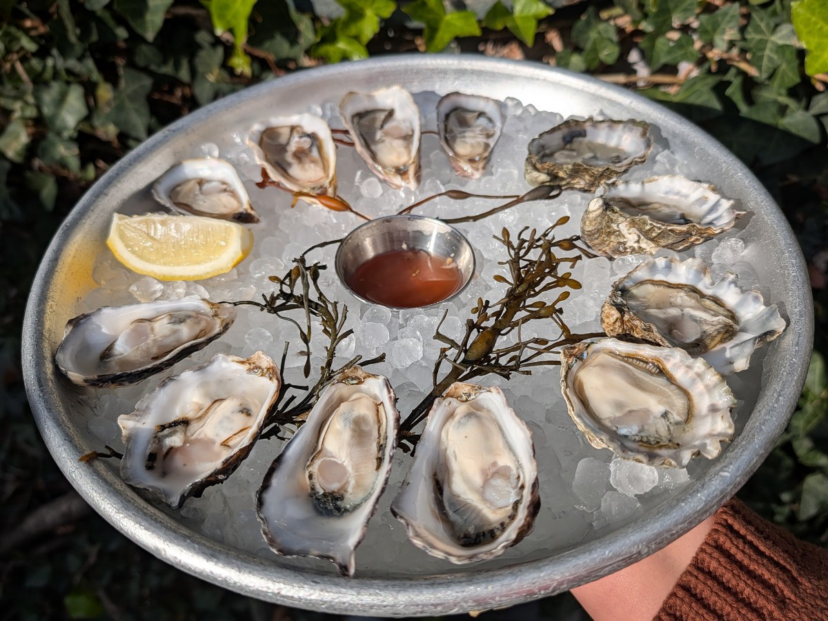 Fresh take: Ace Seafood seeks to reel in a broader audience with revamp and relaunch