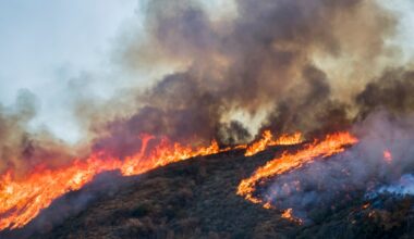 The smoke from the Fresno County foothills is not only coming from the prescribed burn | CBS47 and KSEE24