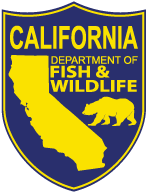 California White Sharks Protected No Fishing or Baiting Allowed
