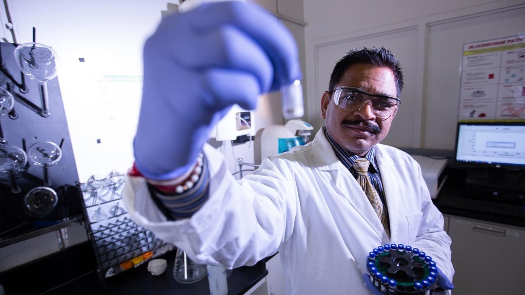 CSUF’s Outstanding Professor awardee discusses risks of ‘forever chemicals’ – Orange County Register