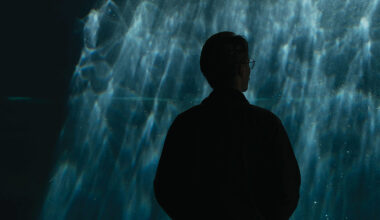 Friendly fins and cartoon grins might change how we see sharks