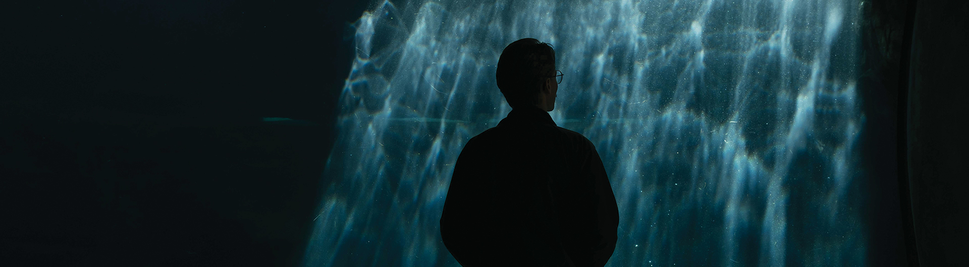 Friendly fins and cartoon grins might change how we see sharks