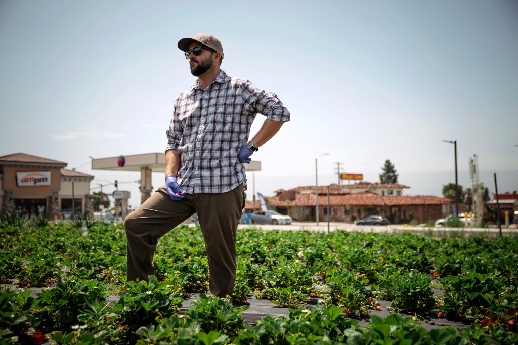 Southern California's rapidly disappearing farmland