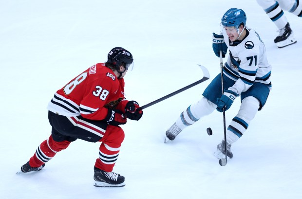 Chicago Blackhawks defenseman Ethan del Mastro (38) and San Jose Sharks center Macklin Celebrini (71) battle in the second period of a game at the United Center in Chicago on April 15, 2026. (Chris Sweda/Chicago Tribune)