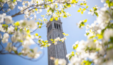 The UC Berkeley Campanile in the background, framed by flowers