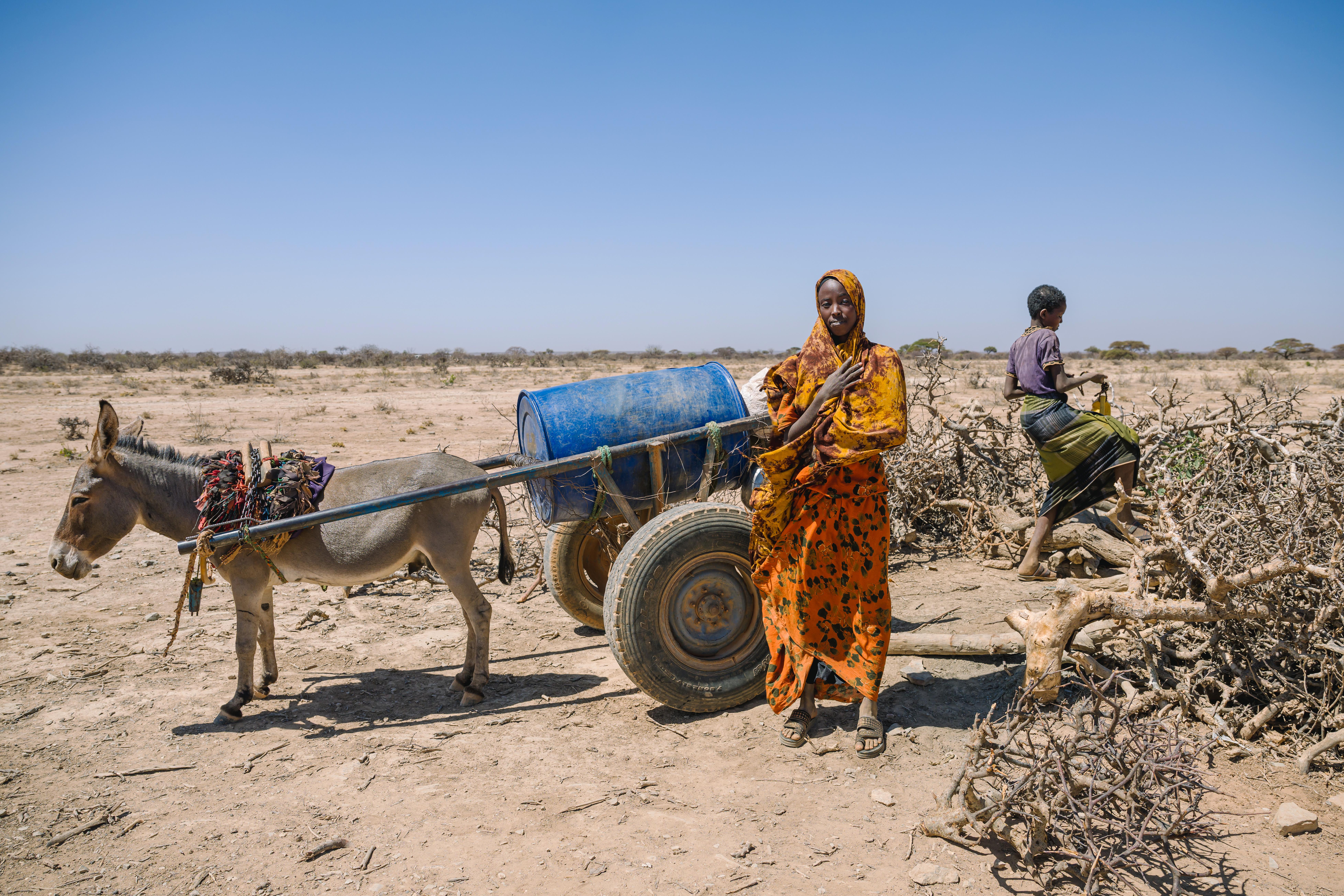 Children seeking water bring their donkey cart to a well.