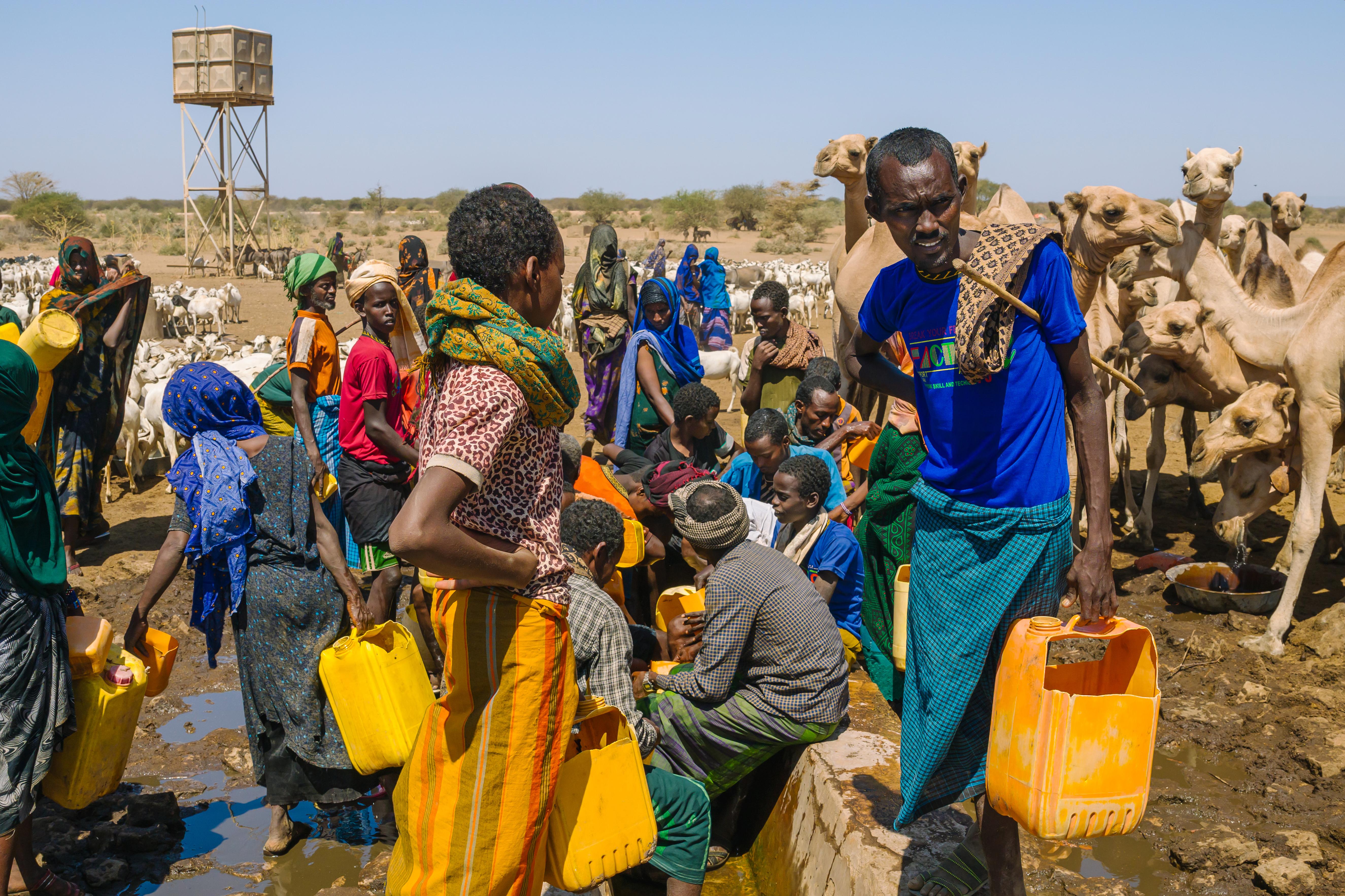 Amid a drought, herders gather after traveling to a well.