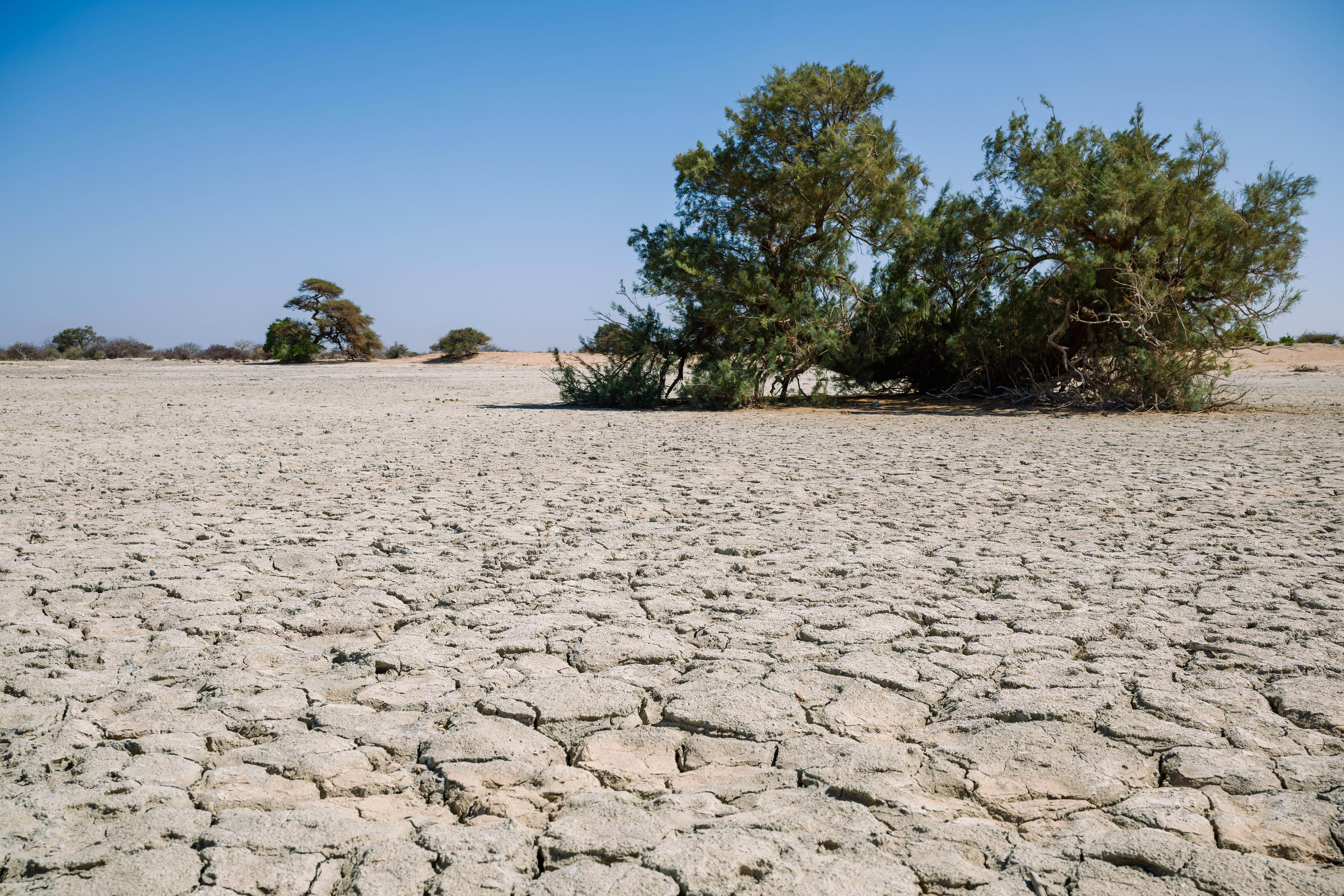 Amid a drought, a lake that should be full now remains dry.
