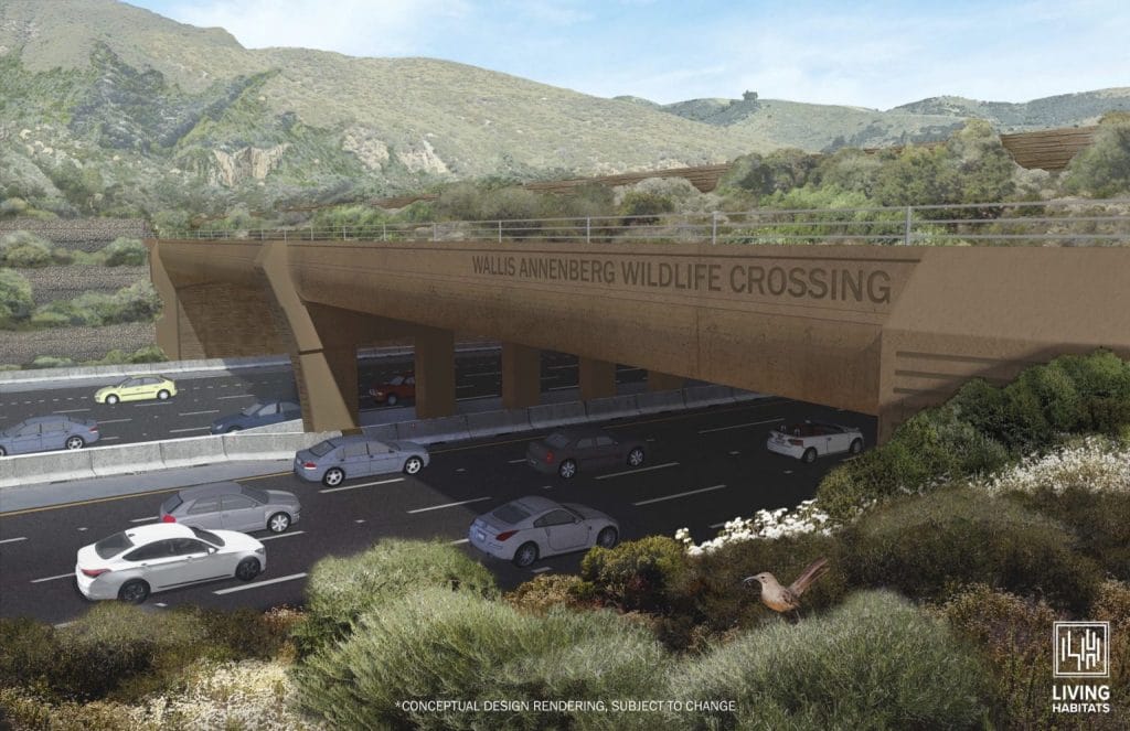 wildlife crossing