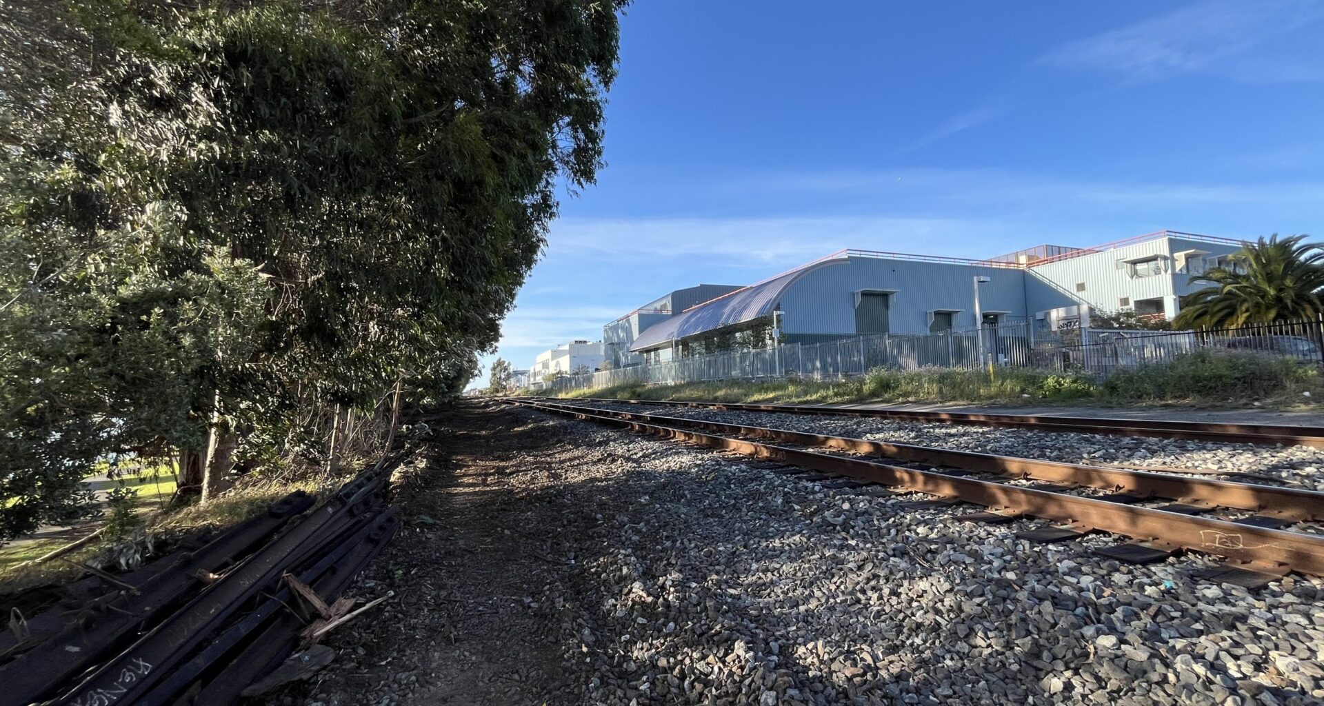 400 trees to be axed in Berkeley's Aquatic Park for railroad project
