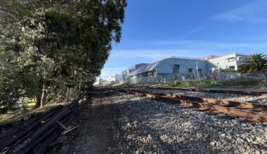 400 trees to be axed in Berkeley's Aquatic Park for railroad project