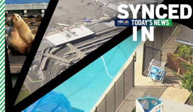 Day care drowning case, Oakland airport name, 2,000-pound sea lion – NBC Bay Area
