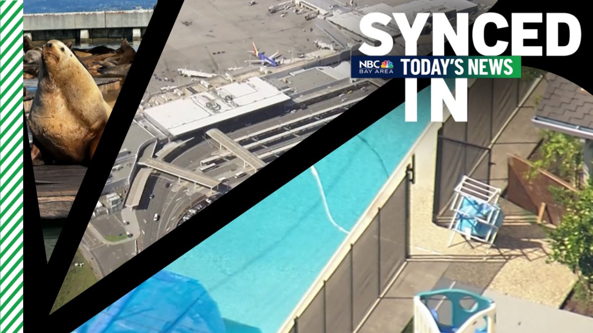 Day care drowning case, Oakland airport name, 2,000-pound sea lion – NBC Bay Area