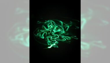 Neon green fireworms light up Long Beach water with their mating – Press Telegram