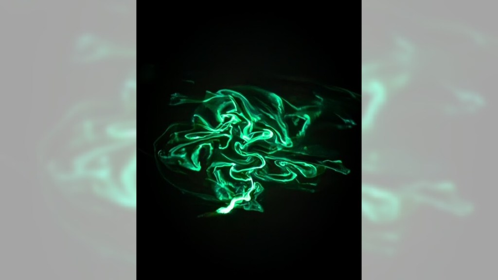 Neon green fireworms light up Long Beach water with their mating – Orange County Register
