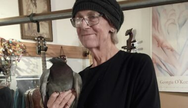 An older person wearing glasses and a knit hat holds a pigeon indoors, with guitars and art posters visible in the background.