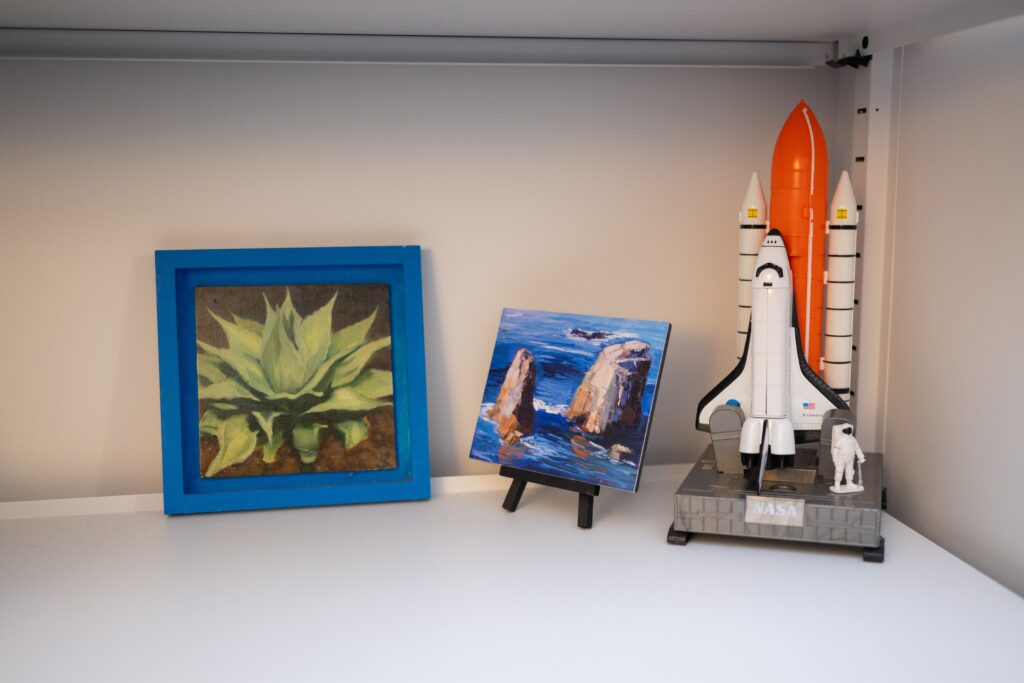 A close-up of David J.X. Gonzalez's bookshelf, showing a painting of a plant, a painting of rocks in the ocean, and a NASA space shuttle that he inherited from his grandfather.