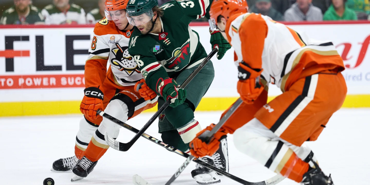 NHL Game Preview: Anaheim Ducks at Minnesota Wild with Line Combinations 04/14/2026