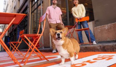 San Francisco coffee shop Corgi Cafe is run by an AI insurance startup
