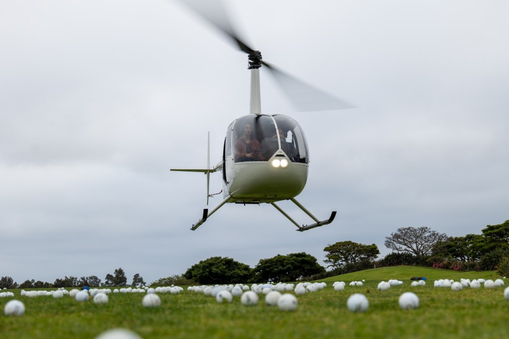 Coastal Encinitas Rotary Club to hold annual Golf Ball Drop & Silent Auction – San Diego Union-Tribune