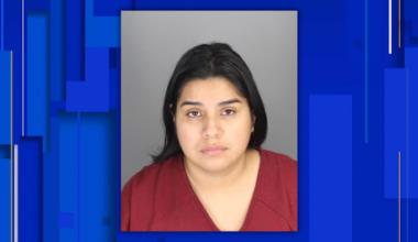 Oakland County woman pleads no contest in real estate fraud scheme