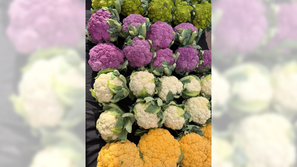 The produce steals the show at the Fullerton Thursday market – Orange County Register