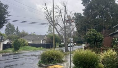 Opinion: Farley Road is ‘a disaster waiting to happen’ | Los Gatan
