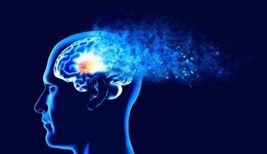 UCSD part of team granted $15.8M to study Latino brain health – NBC 7 San Diego