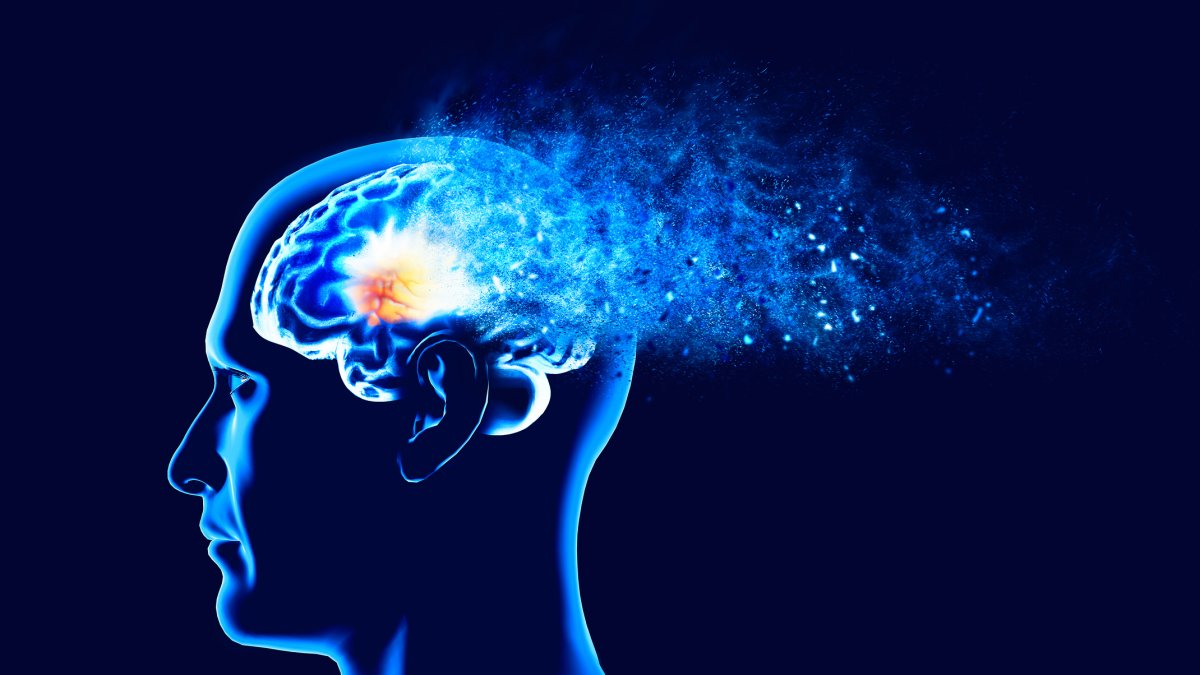 UCSD part of team granted $15.8M to study Latino brain health – NBC 7 San Diego