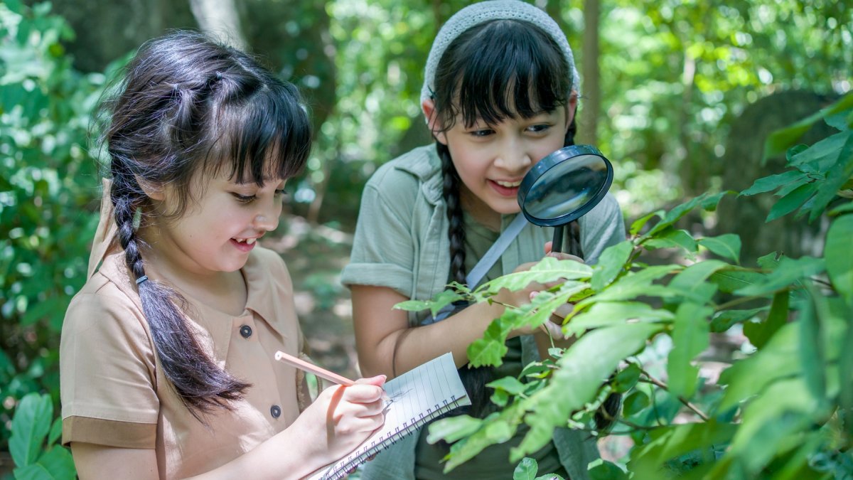 Take part in the City Nature Challenge, snap photos, and help science – NBC Los Angeles