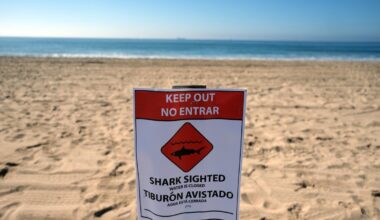 Sharking sighting closes Huntington Beach ocean water – NBC Los Angeles