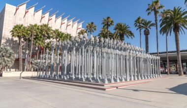 LACMA, Erewhon partner to open new museum café – NBC Los Angeles