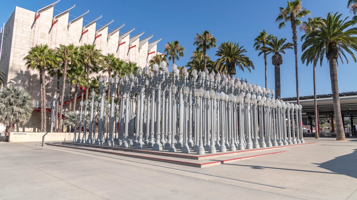 LACMA, Erewhon partner to open new museum café – NBC Los Angeles